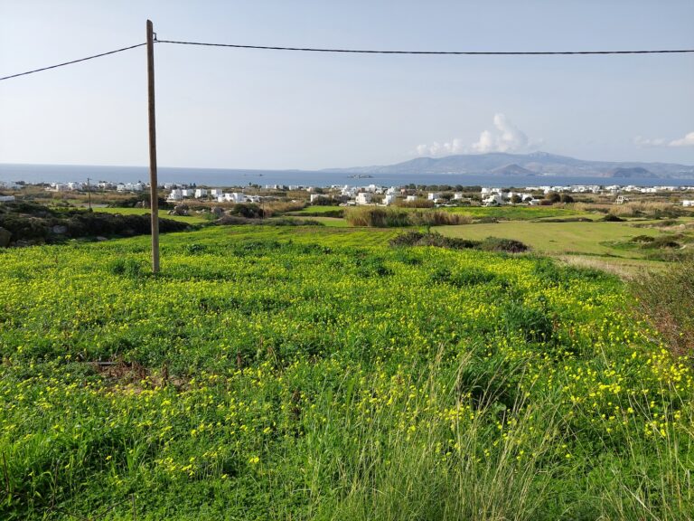 CED Naxos Real Estate CED05-Plaka-Naxos