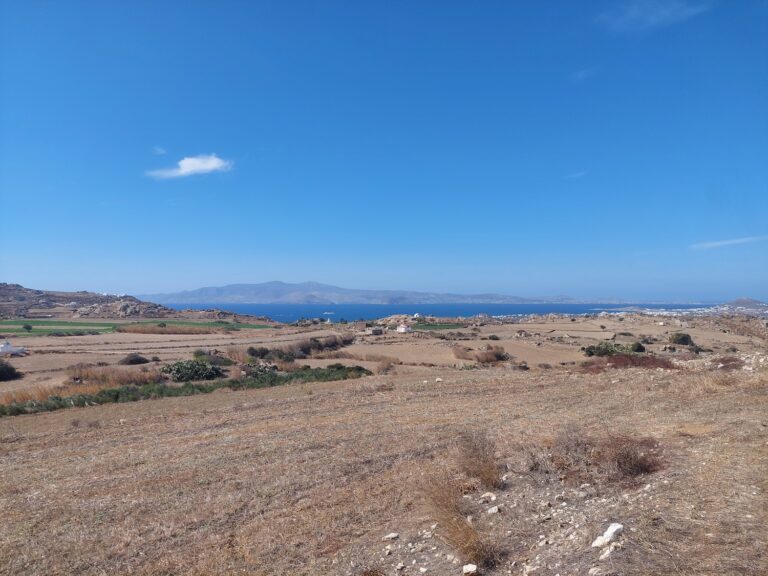 CED Naxos Real Estate CED13-Avlia-Naxos