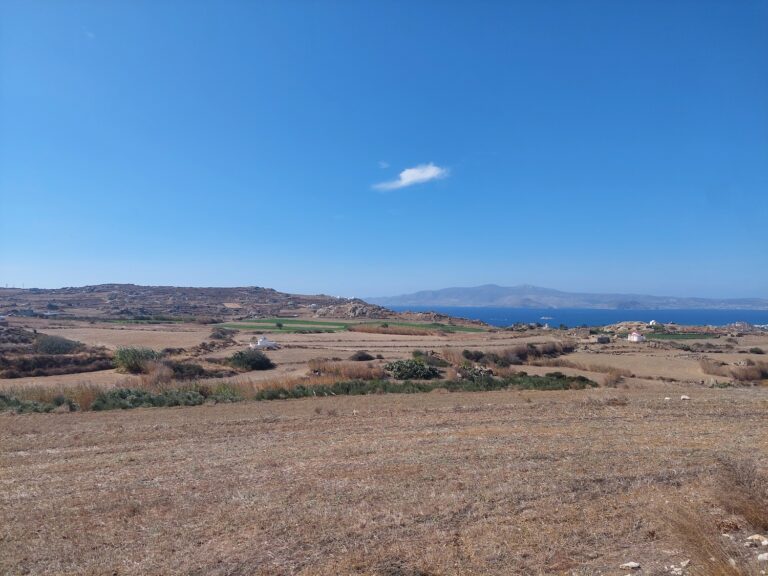 CED Naxos Real Estate CED13-Avlia-Naxos