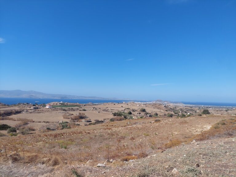 CED Naxos Real Estate CED13-Avlia-Naxos