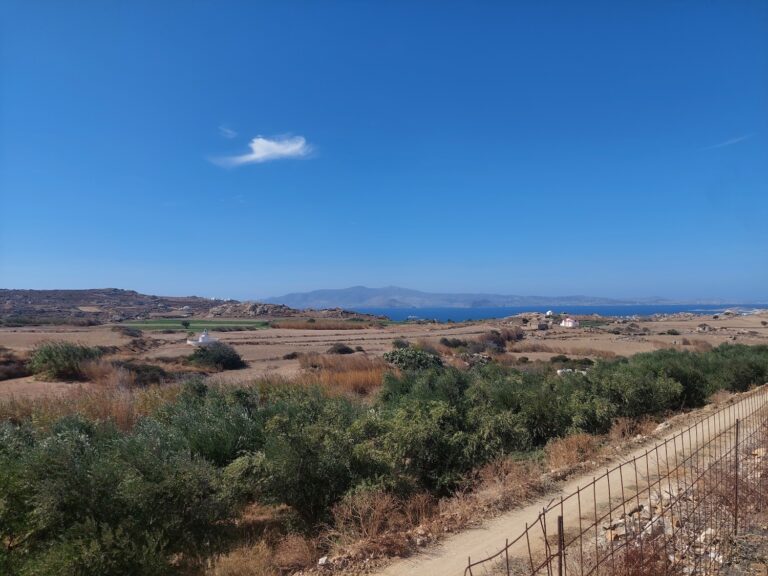 CED Naxos Real Estate CED13-Avlia-Naxos